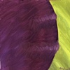 Iris Study #3