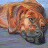 The Sunbather