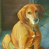 In Memory of Lucky