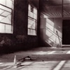 Soda Bottle in Warehouse