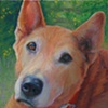 Pet Portraits Commissioned Work