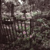 Bonaventure Cemetery Hand Colored