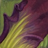 Iris Study #2