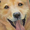close-up of Segue commission