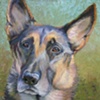 Frieda