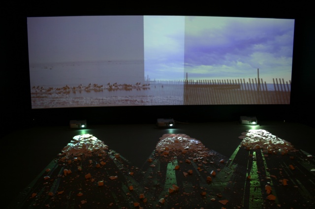 Times Beach: Site