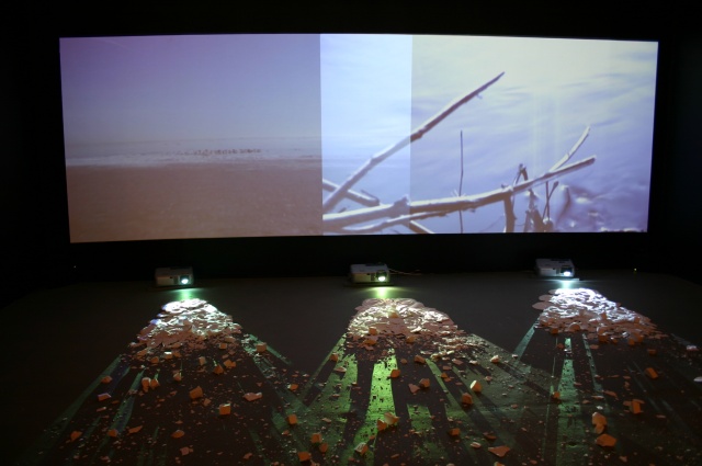 Times Beach: Site