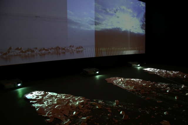 Times Beach: Site