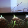 Times Beach: Site