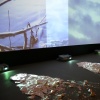 Times Beach: Site