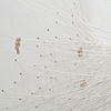 The Drawing Board	