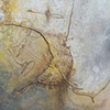 Drawing From Nowhere 33