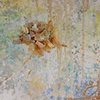 Detail- White Wash White Trash