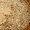 Detail - Untitled (For The Moment)