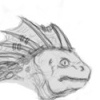 Skink Model Sheet