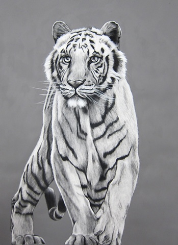Graphite