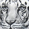 Graphite