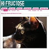 Hi-Fructose- June 2011
