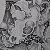 The Messenger- Close Up