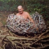 Cocoon
