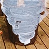 Untitled (cleavage)
