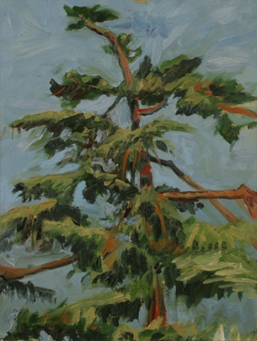 Tree, Atwater Village