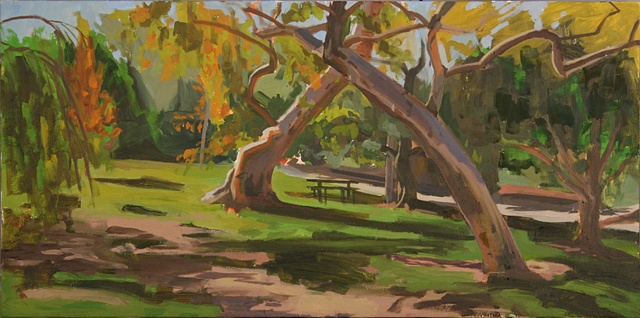 Irvine Regional Park, October 2008