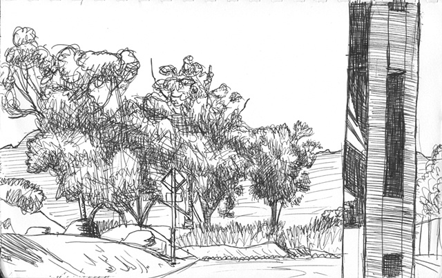 Elysian Park Trees (sketch)