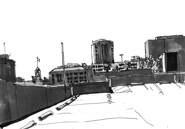 Santa Ana Roof