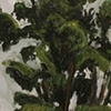 Elysian Park Tree