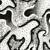 Oganic Abstraction