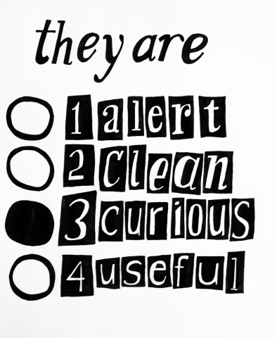 They Are: 