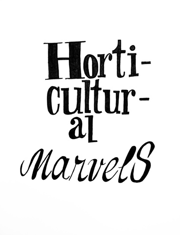 Marvels