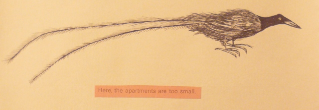 Apartments are too Small