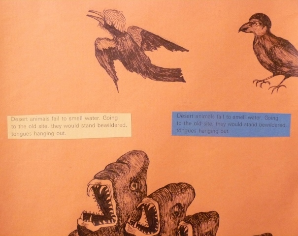 Desert Animals