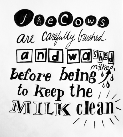 Milk