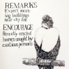 Remarks
