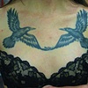 ravens