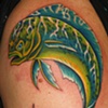 dorado