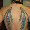 fairy wings
