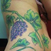 vines4
