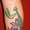 garden sleeve4