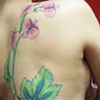 vines1