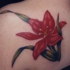 flower 1