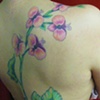 vines2