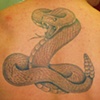 rattler