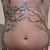 cherry trees2