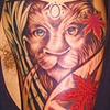 3rd eye lion