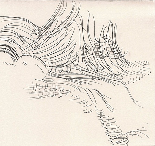 Durer IV