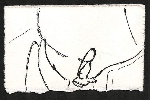 Durer VI